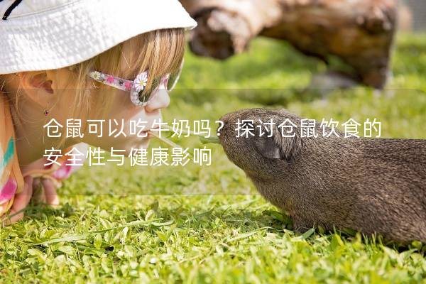 仓鼠可以吃牛奶吗？探讨仓鼠饮食的安全性与健康影响