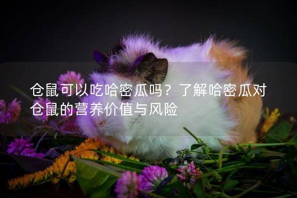 仓鼠可以吃哈密瓜吗?了解哈密瓜对仓鼠的营养价值与风险 仓鼠可以吃哈密瓜吗?了解哈密瓜对仓鼠的营养价值与风险