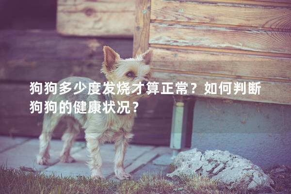 狗狗多少度发烧才算正常？如何判断狗狗的健康状况？