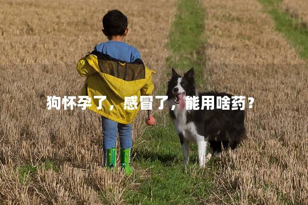 狗怀孕了,感冒了,能用啥药? 狗怀孕了,感冒了,能用啥药?