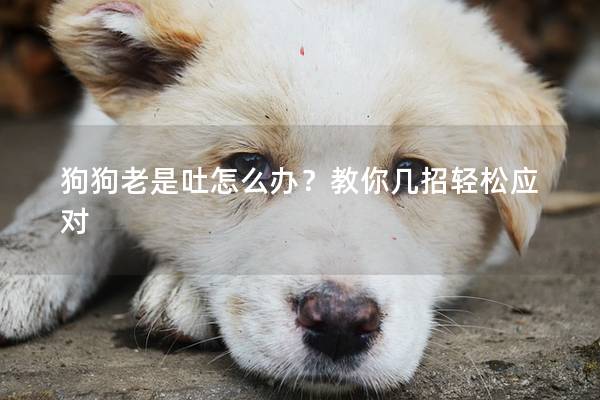 狗狗老是吐怎么办?教你几招轻松应对 狗狗老是吐怎么办?教你几招轻松应对