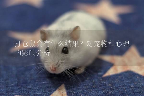 打仓鼠会有什么结果？对宠物和心理的影响分析