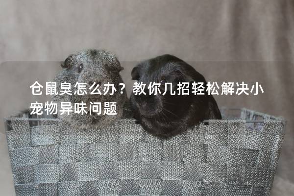仓鼠臭怎么办?教你几招轻松解决小宠物异味问题 仓鼠臭怎么办?教你几招轻松解决小宠物异味问题