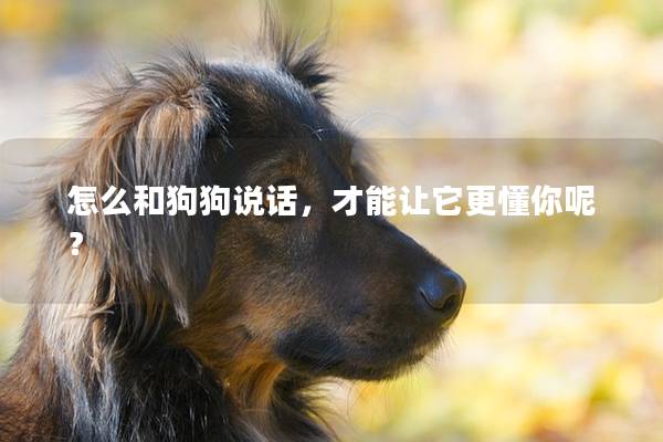 怎么和狗狗说话，才能让它更懂你呢？