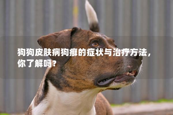 狗狗皮肤病狗癣的症状与治疗方法,你了解吗? 狗狗皮肤病狗癣的症状与治疗方法,你了解吗?