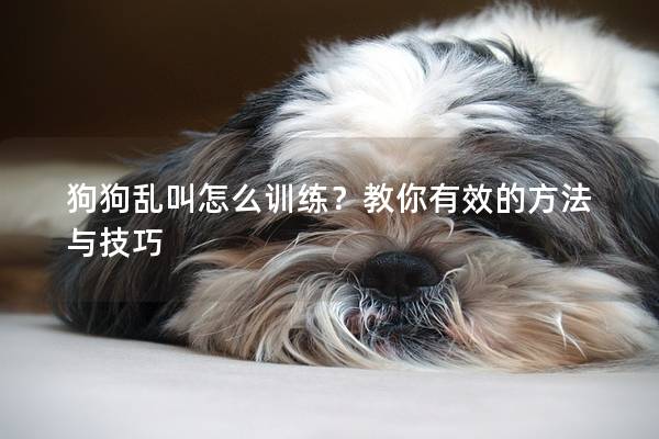 狗狗乱叫怎么训练？教你有效的方法与技巧