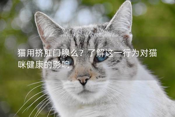 猫用挤肛门腺么？了解这一行为对猫咪健康的影响