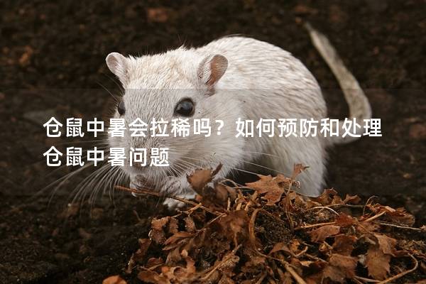 仓鼠中暑会拉稀吗？如何预防和处理仓鼠中暑问题