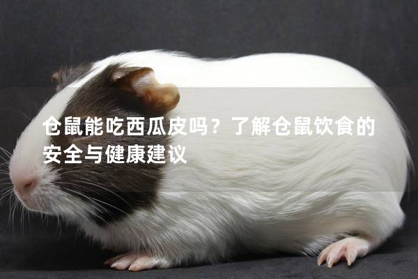 仓鼠能吃西瓜皮吗？了解仓鼠饮食的安全与健康建议