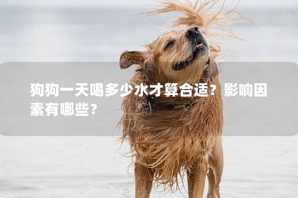狗狗一天喝多少水才算合适？影响因素有哪些？