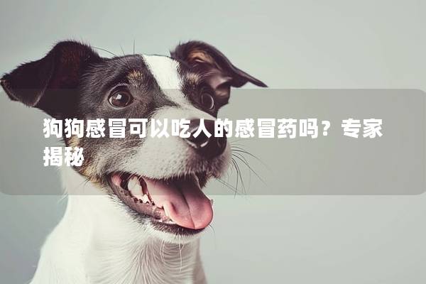 狗狗感冒可以吃人的感冒药吗？专家揭秘