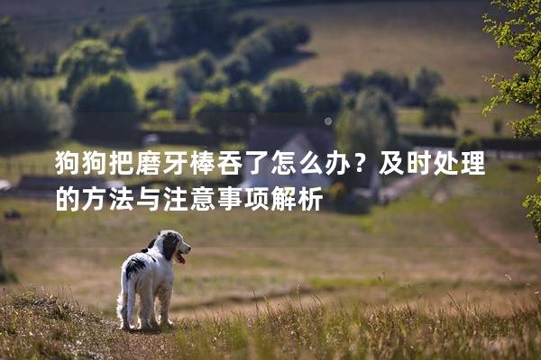 狗狗把磨牙棒吞了怎么办？及时处理的方法与注意事项解析