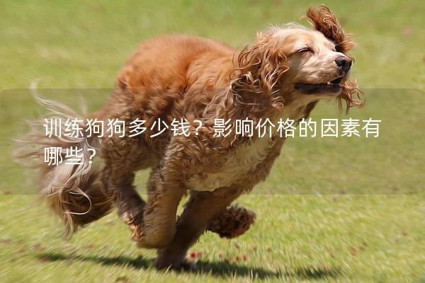 训练狗狗多少钱?影响价格的因素有哪些? 训练狗狗多少钱?影响价格的因素有哪些?