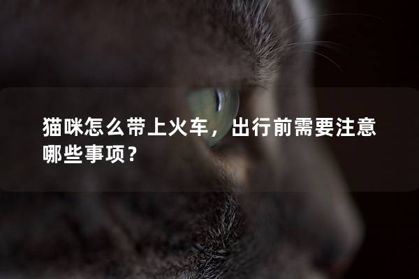 猫咪怎么带上火车,出行前需要注意哪些事项? 猫咪怎么带上火车,出行前需要注意哪些事项?