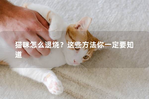 猫咪怎么退烧？这些方法你一定要知道