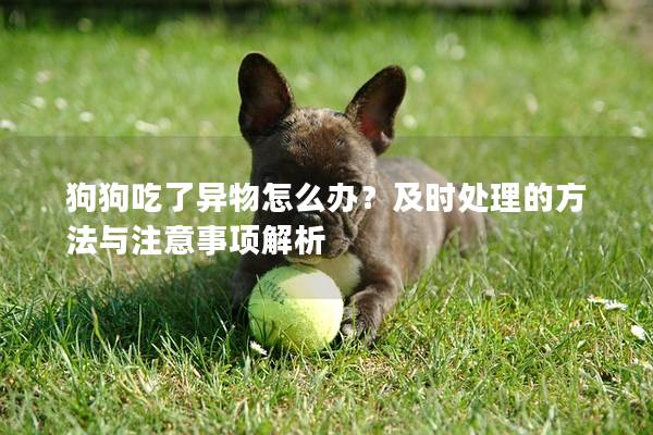 狗狗吃了异物怎么办？及时处理的方法与注意事项解析