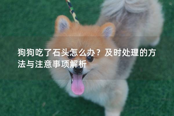 狗狗吃了石头怎么办？及时处理的方法与注意事项解析