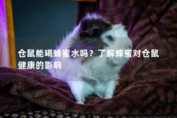 仓鼠能喝蜂蜜水吗?了解蜂蜜对仓鼠健康的影响 仓鼠能喝蜂蜜水吗?了解蜂蜜对仓鼠健康的影响