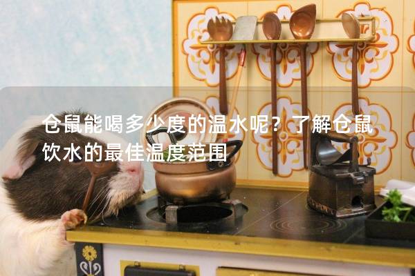 仓鼠能喝多少度的温水呢？了解仓鼠饮水的最佳温度范围