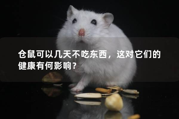 仓鼠可以几天不吃东西，这对它们的健康有何影响？