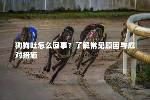狗狗吐怎么回事？了解常见原因与应对措施