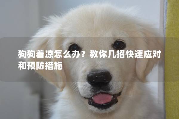 狗狗着凉怎么办？教你几招快速应对和预防措施