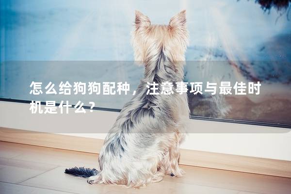 怎么给狗狗配种，注意事项与最佳时机是什么？