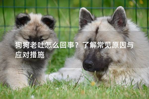 狗狗老吐怎么回事?了解常见原因与应对措施 狗狗老吐怎么回事?了解常见原因与应对措施