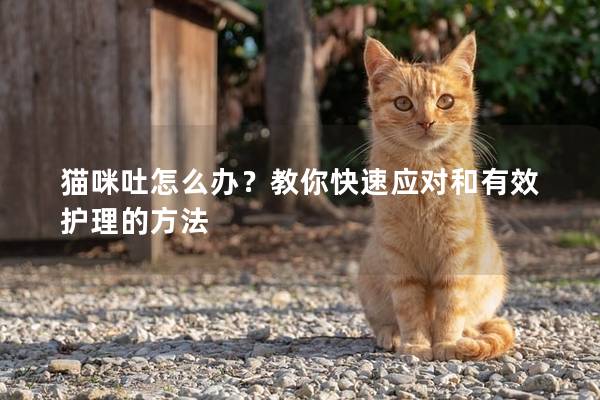 猫咪吐怎么办？教你快速应对和有效护理的方法