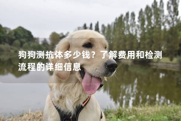 狗狗测抗体多少钱?了解费用和检测流程的详细信息 狗狗测抗体多少钱?了解费用和检测流程的详细信息
