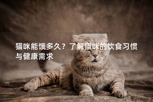 猫咪能饿多久？了解猫咪的饮食习惯与健康需求
