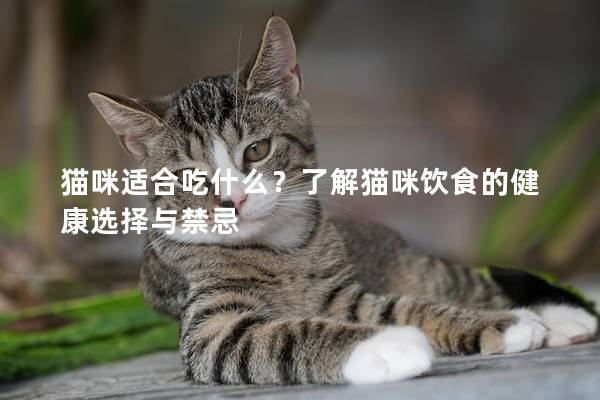 猫咪适合吃什么？了解猫咪饮食的健康选择与禁忌