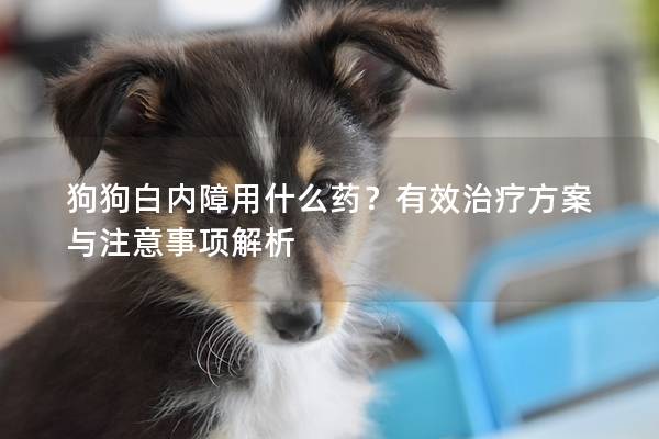 狗狗白内障用什么药？有效治疗方案与注意事项解析