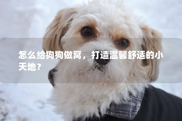 怎么给狗狗做窝，打造温馨舒适的小天地？