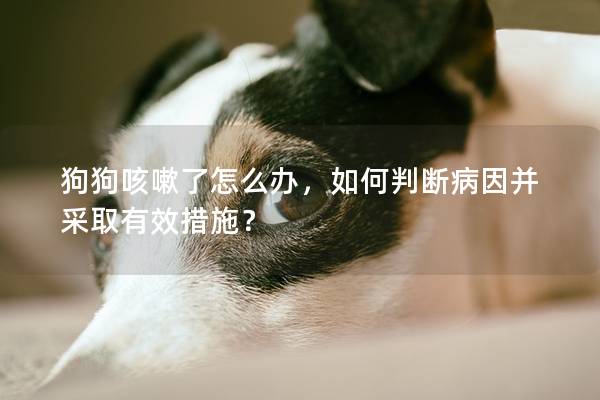 狗狗咳嗽了怎么办,如何判断病因并采取有效措施? 狗狗咳嗽了怎么办,如何判断病因并采取有效措施?