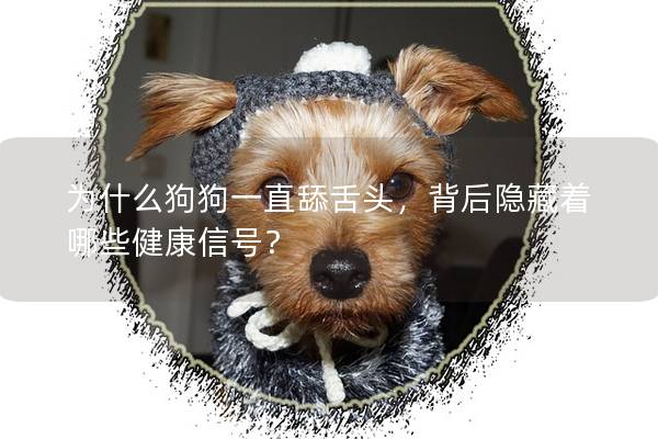 为什么狗狗一直舔舌头，背后隐藏着哪些健康信号？