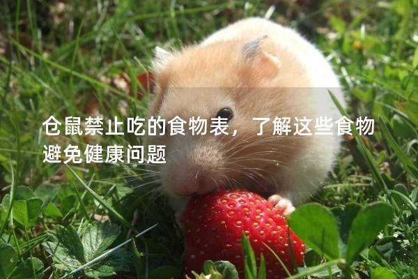 仓鼠禁止吃的食物表，了解这些食物避免健康问题