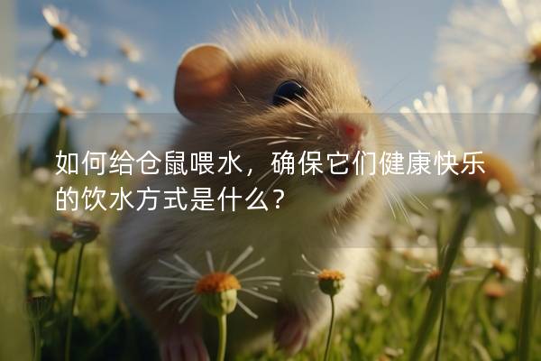 如何给仓鼠喂水,确保它们健康快乐的饮水方式是什么? 如何给仓鼠喂水,确保它们健康快乐的饮水方式是什么?