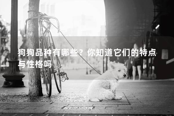 狗狗品种有哪些?你知道它们的特点与性格吗 狗狗品种有哪些?你知道它们的特点与性格吗