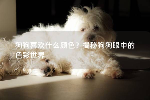 狗狗喜欢什么颜色？揭秘狗狗眼中的色彩世界