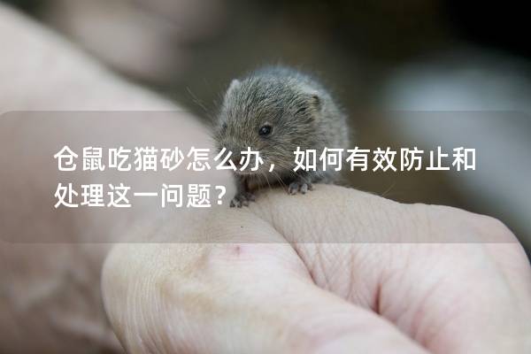 仓鼠吃猫砂怎么办，如何有效防止和处理这一问题？