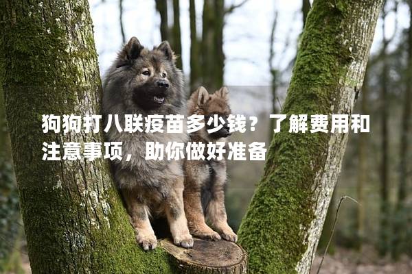 狗狗打八联疫苗多少钱?了解费用和注意事项,助你做好准备 狗狗打八联疫苗多少钱?了解费用和注意事项,助你做好准备