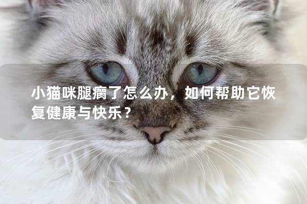 小猫咪腿瘸了怎么办，如何帮助它恢复健康与快乐？