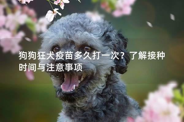 狗狗狂犬疫苗多久打一次？了解接种时间与注意事项