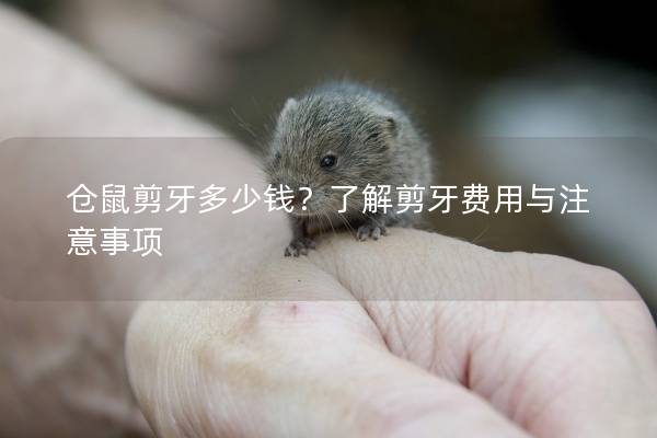 仓鼠剪牙多少钱？了解剪牙费用与注意事项