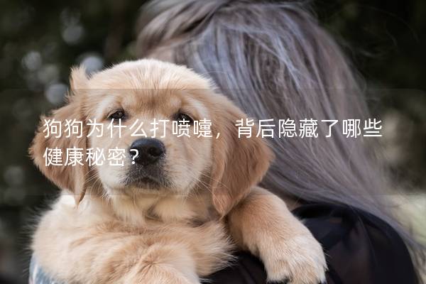 狗狗为什么打喷嚏，背后隐藏了哪些健康秘密？