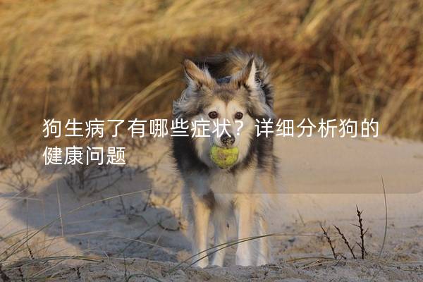 狗生病了有哪些症状?详细分析狗的健康问题 狗生病了有哪些症状?详细分析狗的健康问题