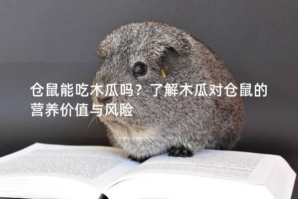 仓鼠能吃木瓜吗？了解木瓜对仓鼠的营养价值与风险