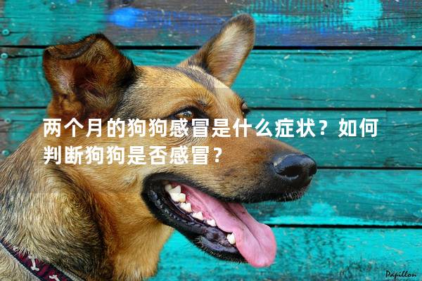 两个月的狗狗感冒是什么症状？如何判断狗狗是否感冒？
