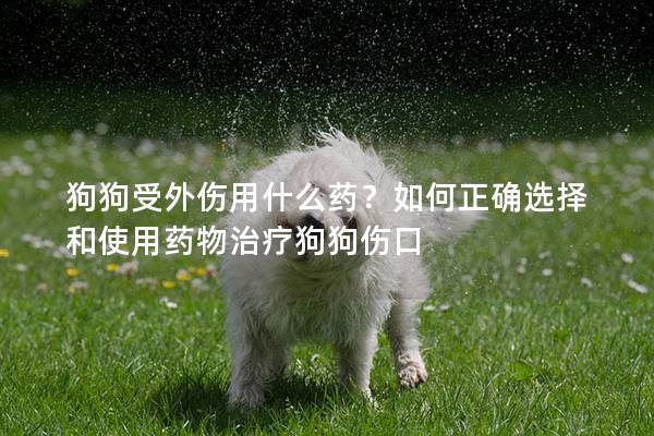 狗狗受外伤用什么药？如何正确选择和使用药物治疗狗狗伤口